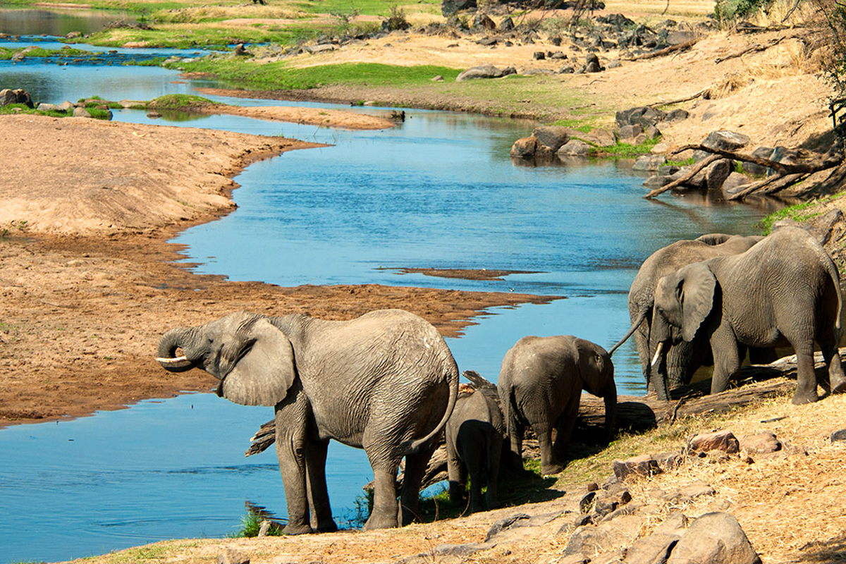 Ruaha National Park